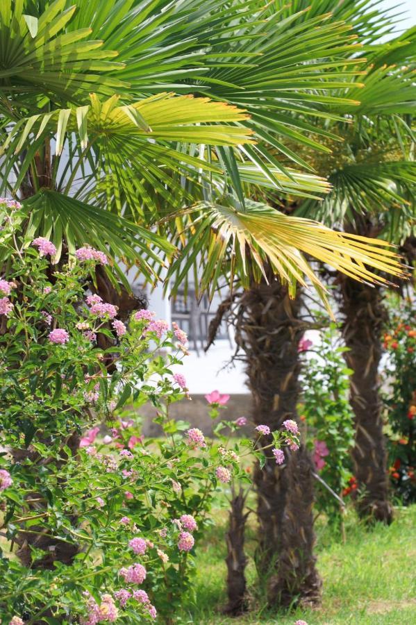 Hotel Velipoja Village Luaran gambar